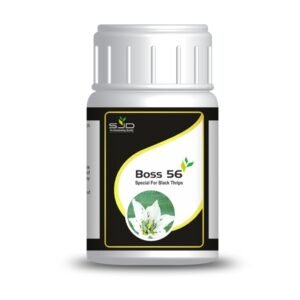 Boss 56