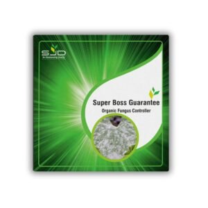 Super Boss Guarantee